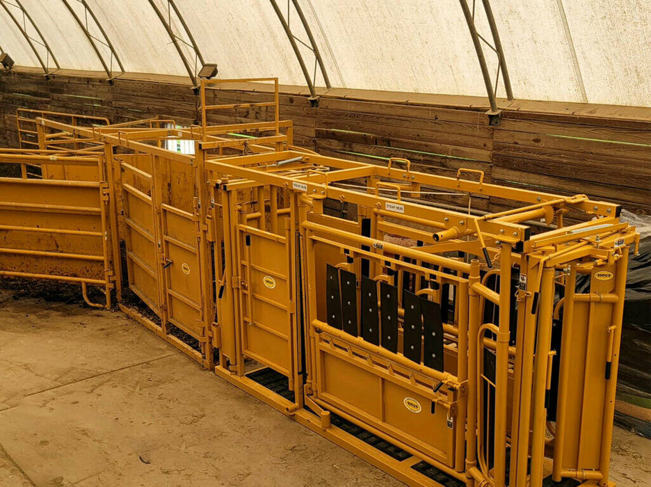 Cattle Chute with Auto Head Gate by Sioux Steel