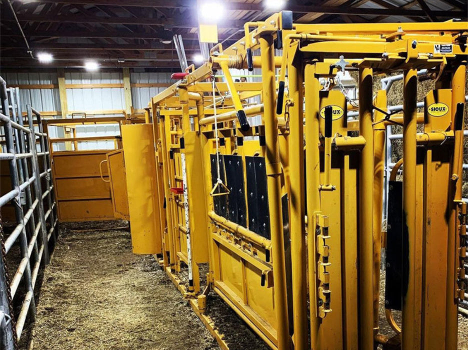 Cattle Chute with Auto Head Gate by Sioux Steel